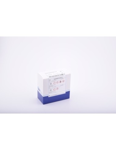 BONE MARROW BIOPSY KIT, 2 x...